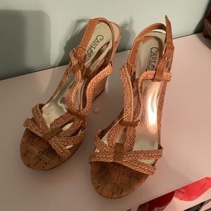 Carlos Santana Wedges